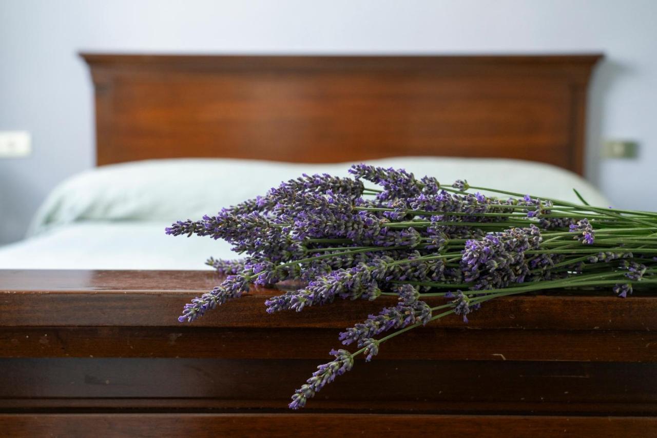 Lago Maggiore A 10 Minuti "Cascina Lavanda" Casalzuigno Eksteriør billede