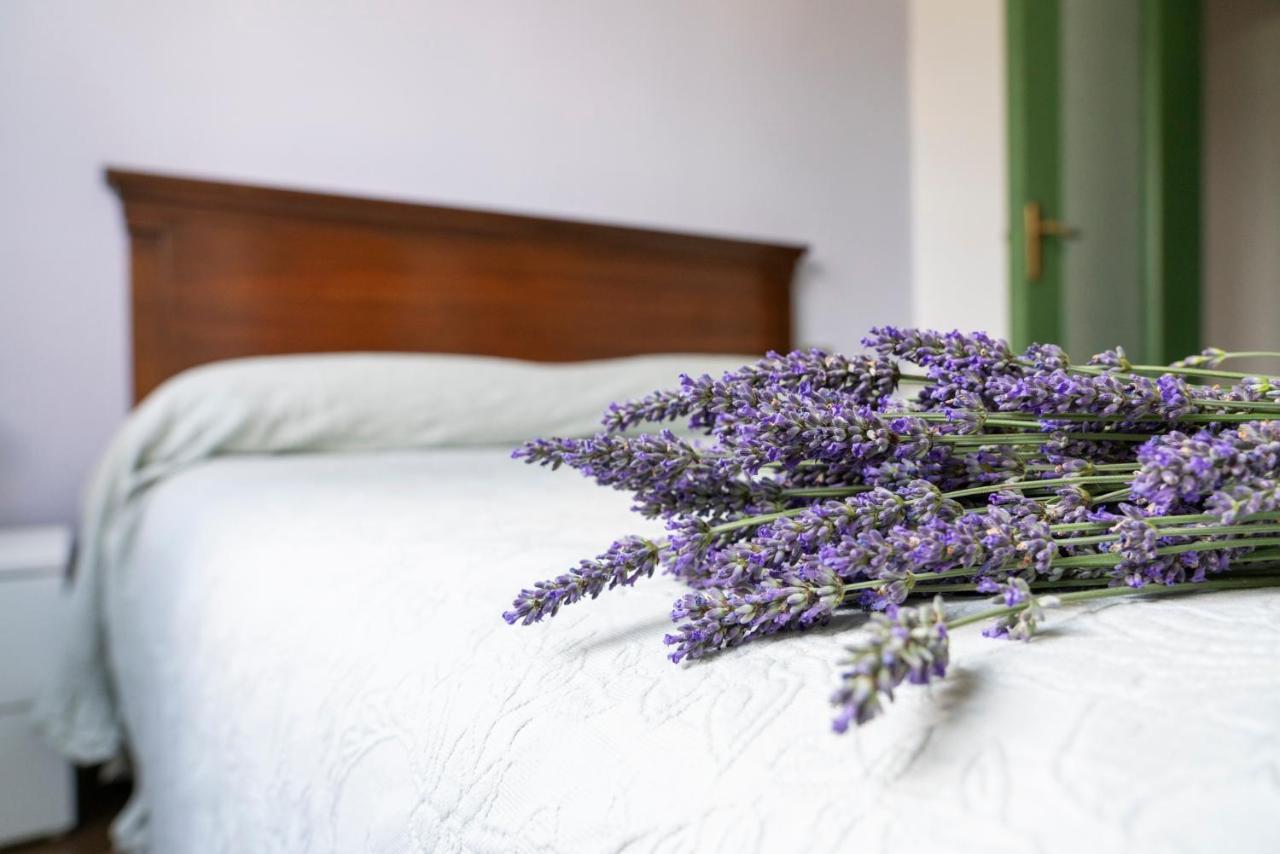 Lago Maggiore A 10 Minuti "Cascina Lavanda" Casalzuigno Eksteriør billede